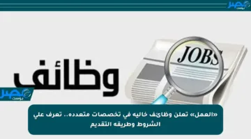«العمل» تعلن وظائف خالية في تخصصات متعددة.. تعرف على الشروط وطريقة التقديم